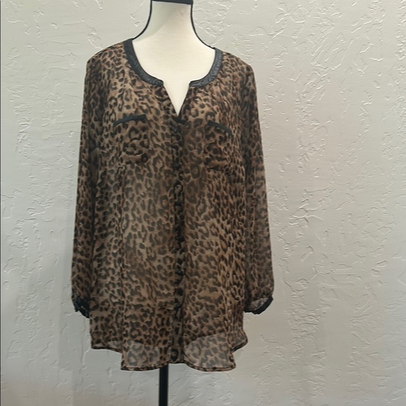 Daniel Rainn Brown Tan Flutter Sleeve Blouse - Picture 1 of 7